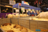 Le salon de l'agriculture c'est fini... retour sur cette 52éme exposition 14