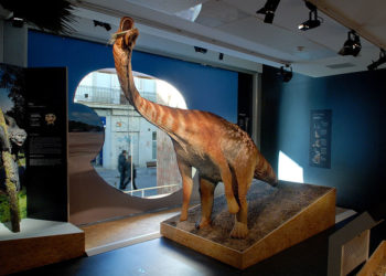 Un dinosaure titanesque fait son entrée au Museum d&rsquo;Histoire Naturelle de New York !