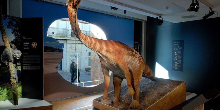 Un dinosaure titanesque fait son entrée au Museum d’Histoire Naturelle de New York !