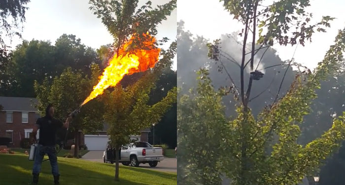 Il détruit un nid de frelon à l&rsquo;aide… d&rsquo;un lance flamme !