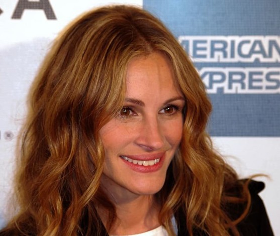 Julia Roberts sera avocate pour le film Train Man !