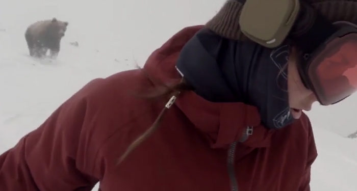 Une snowboardeuse se filme et ignore complètement qu&rsquo;elle est poursuivie… par un ours !