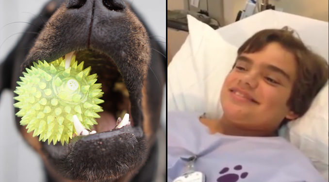 États-Unis : Aux urgences, ce petit garçon respire en « couinant » après avoir inhalé le jouet de son chien !