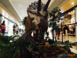 Les Ulis : Les dinosaures envahissent le centre commercial ! 13