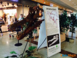 Les Ulis : Les dinosaures envahissent le centre commercial ! 12