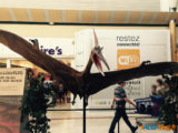Les Ulis : Les dinosaures envahissent le centre commercial ! 10