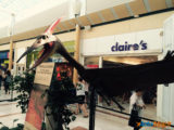 Les Ulis : Les dinosaures envahissent le centre commercial ! 9
