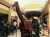 Les Ulis : Les dinosaures envahissent le centre commercial ! 8