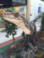Les Ulis : Les dinosaures envahissent le centre commercial ! 7