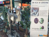 Les Ulis : Les dinosaures envahissent le centre commercial ! 5
