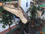 Les Ulis : Les dinosaures envahissent le centre commercial ! 4