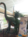 Les Ulis : Les dinosaures envahissent le centre commercial ! 2