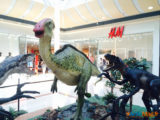Les Ulis : Les dinosaures envahissent le centre commercial ! 19