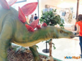 Les Ulis : Les dinosaures envahissent le centre commercial ! 16