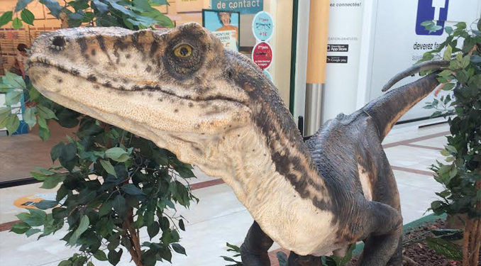 Les Ulis : Les dinosaures envahissent le centre commercial !