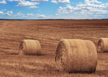 L&rsquo;Amour est dans le pré en deuil après le décès d&rsquo;un agriculteur