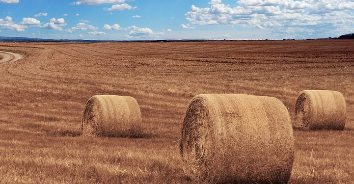 L&rsquo;Amour est dans le pré en deuil après le décès d&rsquo;un agriculteur