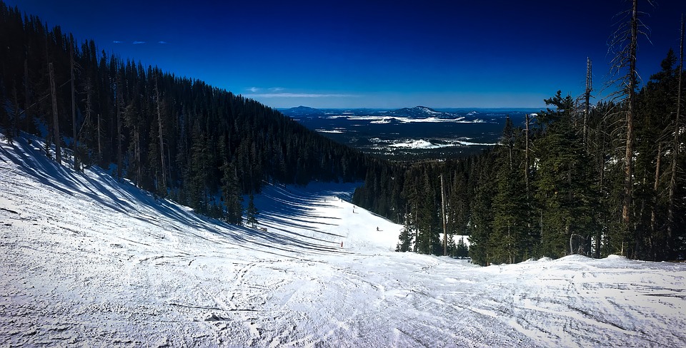 États-Unis : Une fillette de 10 ans meurt après avoir percuté un arbre au cours d&rsquo;une leçon de ski