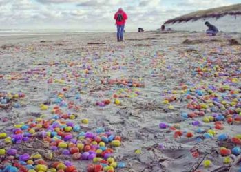 Allemagne : Des milliers d’œufs kinder s&rsquo;échouent sur l&rsquo;île de Langeoog pour le plus grand bonheur des enfants !