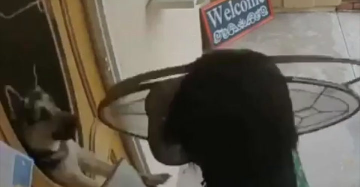 (Video) Au moment où elle dépose un prospectus, une mauvaise surprise l&rsquo;attend devant cette porte !