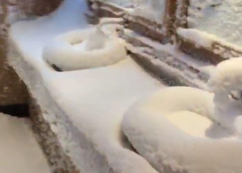 Tignes : Les toilettes d&rsquo;un restaurant d&rsquo;altitude entièrement recouvertes par la neige après une fenêtre mal fermée !