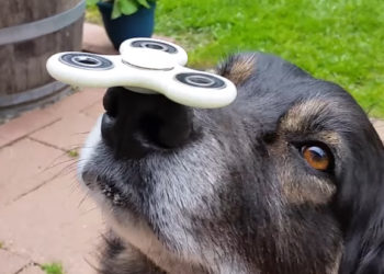 Hand Spinner