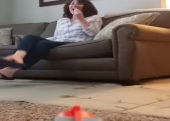 nerf