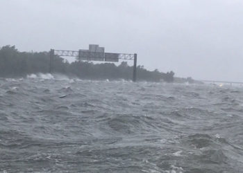 Harvey