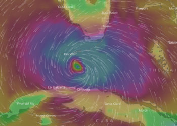 Irma