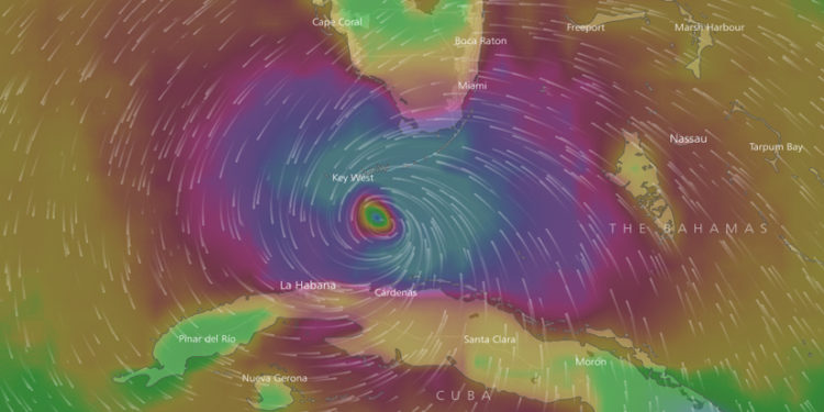 Irma