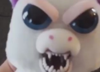 peluche