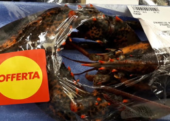 homard