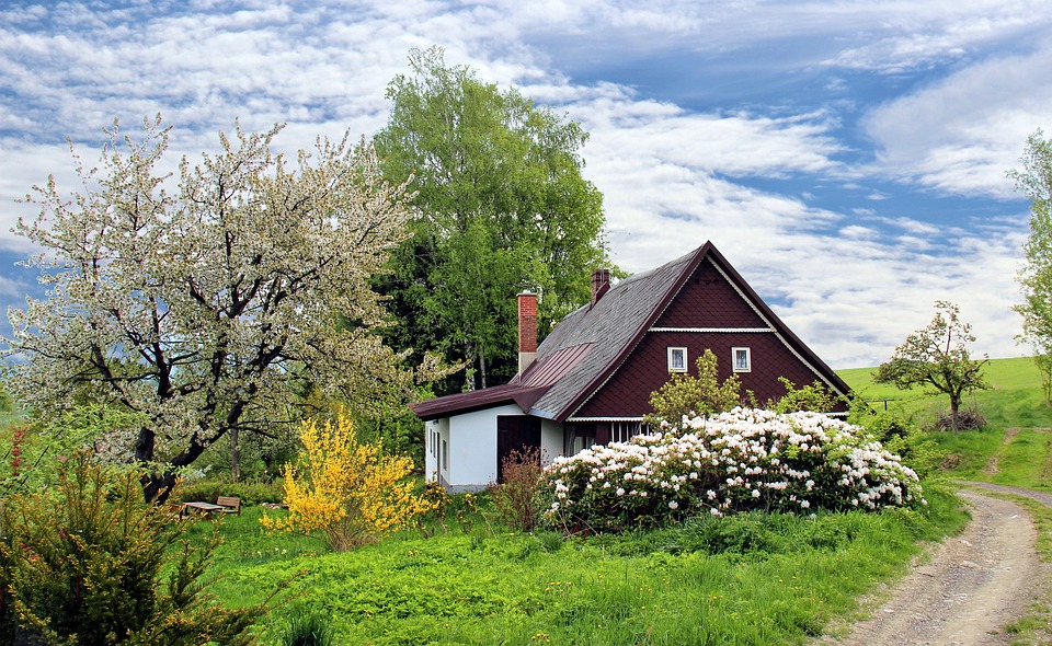 Avis Maison et jardin actuels pour un hiver chaud et cozy