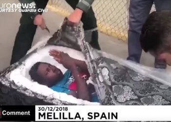 migrants