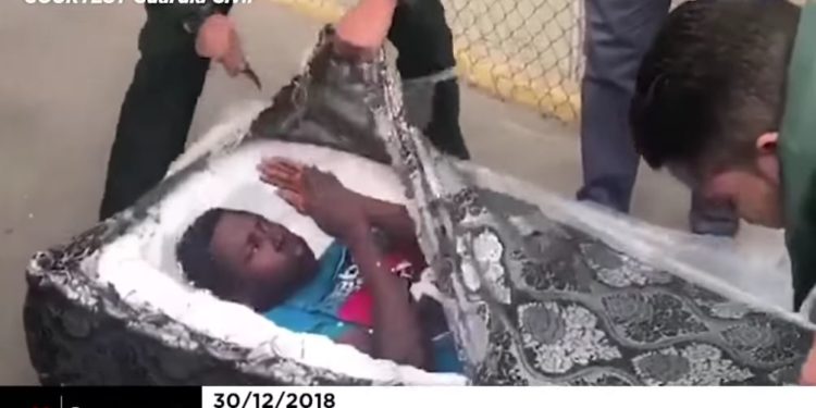 migrants