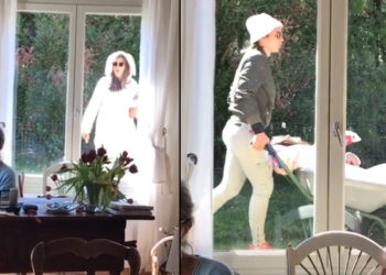 Confinement. L&rsquo;improbable chasse au lapin pendant un cours en visioconférence