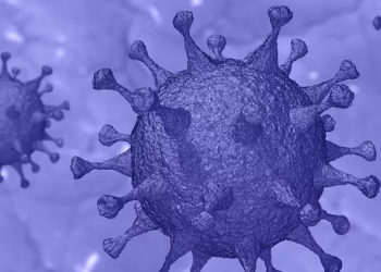 Coronavirus. 110 décès et 418 nouveaux cas en France au 20 mai
