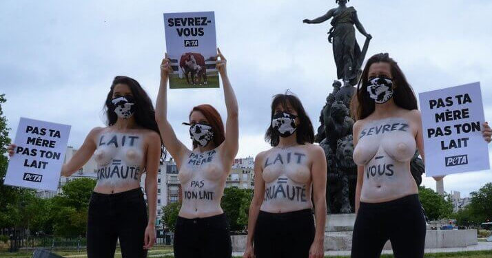 Paris : Trois militantes de PETA protestent seins nus contre la cruauté de l&rsquo;industrie laitière