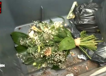 Des habitants de l&rsquo;île de Sein affirment au « Quotidien » avoir piétiné la gerbe de fleur déposée par Marine Le Pen après la célébration du 18 juin