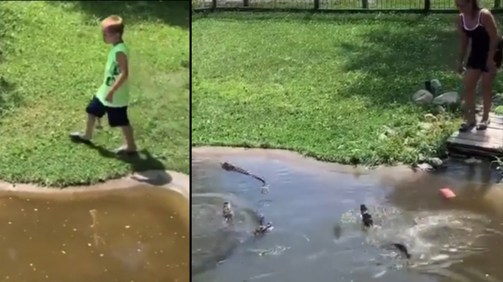 États-Unis : Une mère et son fils vont dans l&rsquo;enclos des alligators pour récupérer… un portefeuille