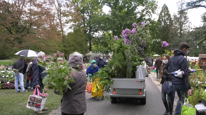 Malgré la crise sanitaire, la 36ème édition de la fête des plantes bat son plein