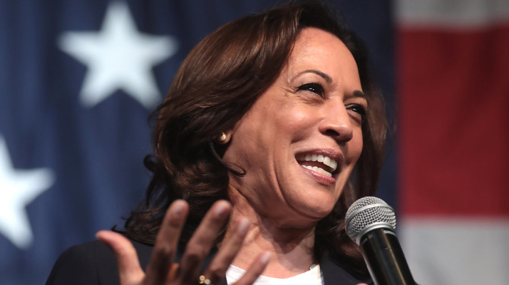 Qui est Kamala Harris, la prochaine vice-présidente des États-Unis ?