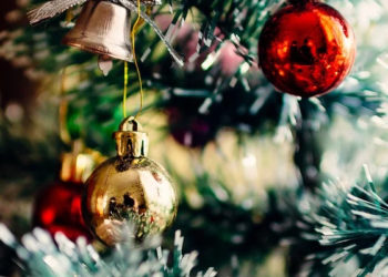 Confinement. « Oui, il sera possible d&rsquo;acheter des sapins de Noël » déclare Julien Denormandie, ministre de l&rsquo;Agriculture