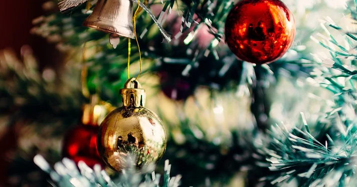 Confinement. « Oui, il sera possible d&rsquo;acheter des sapins de Noël » déclare Julien Denormandie, ministre de l&rsquo;Agriculture