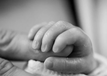 Grossesse hors norme. Les médecins mettent au monde le premier enfant issu d’une greffe de l’utérus