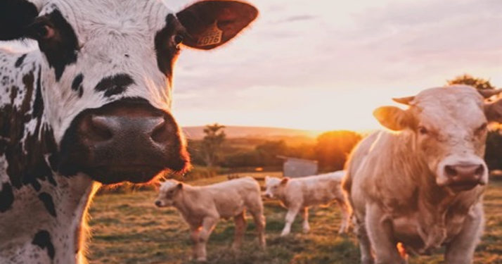 Le ministre de l’agriculture veut renforcer le patriotisme nutritionnel