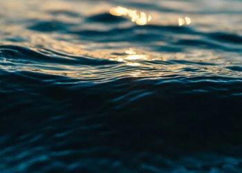 Charente-Maritime : Le corps de la petite fille de 11 ans qui se trouvait en colonie de vacance lorsqu&rsquo;elle a disparue en mer a été retrouvé