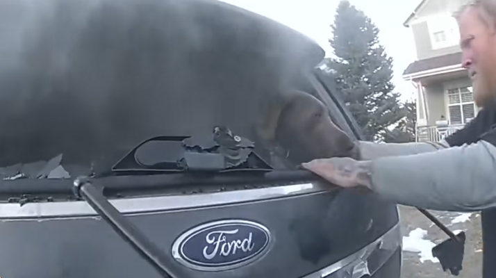 États-Unis. Regardez ce policier qui parvient à sauver un chien d&rsquo;un véhicule en feu
