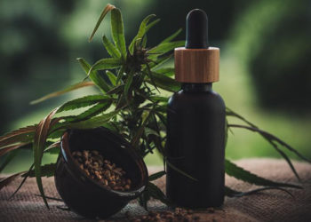 Comment consommer de l’huile de CBD ?