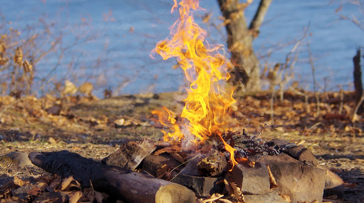 Yvelines. Ils font un barbecue en forêt : 2 hectares partent en fumée